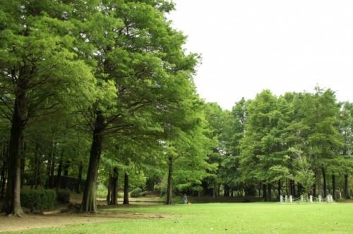 嫌いな異性のタイプが分かる 恋愛深層心理テスト パートナーズ