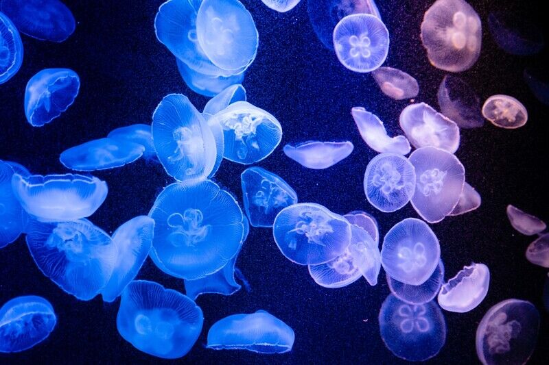 恋をすると綺麗になるって本当 科学的に分析してみた パートナーズ 恋をすると綺麗になるって本当 科学的に分析してみた パートナーズ