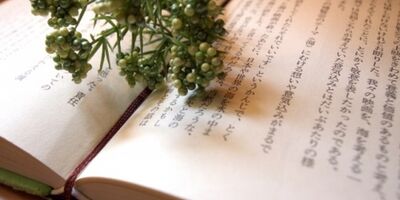 恋人 自分の 二重人格度 が分かる 恋愛深層心理テスト パートナーズ 恋人 自分の 二重人格度 が分かる 恋愛深層心理テスト パートナーズ